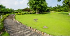 Landscaped Gardens